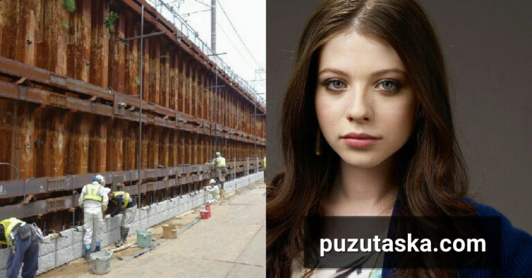 Michelle Trachtenberg: Career, Death, and Lasting Legacy