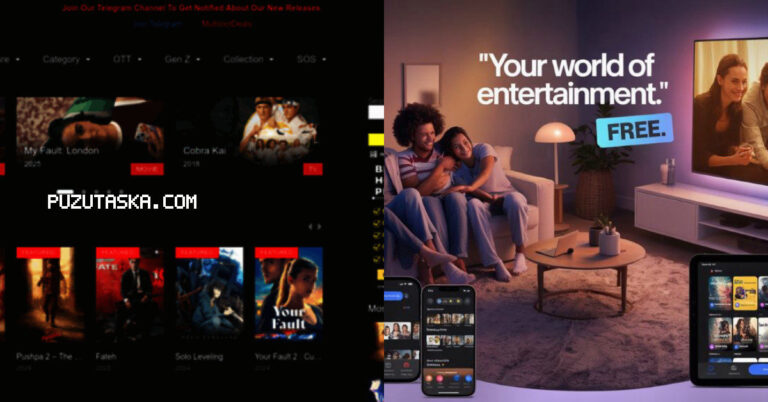 Multimovies SBS Status, Risks, and What Users Should Know