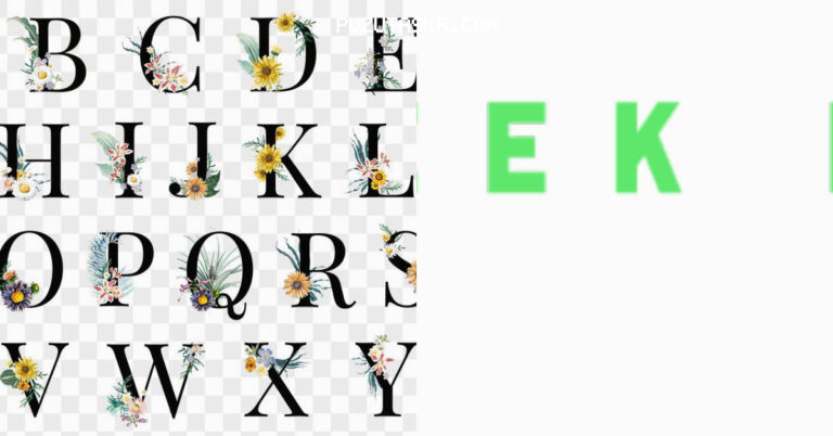 GeekForceNetwork Review: What www geekforcenetworkcom Offers